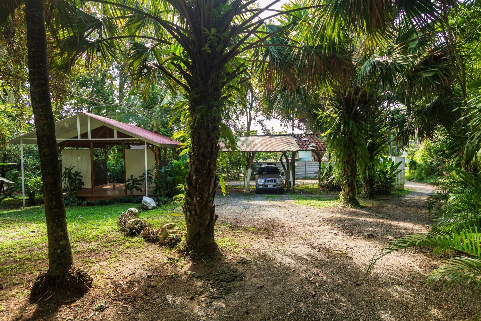 Cuatro Vientos & - Mal Pais, Costa Rica